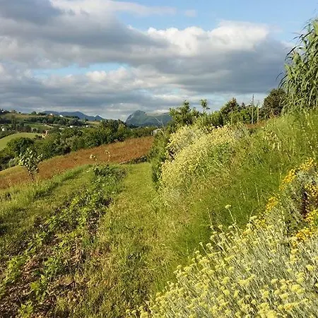 San Francesco Montecarotto