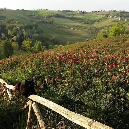 San Francesco Bed & Breakfast 3*