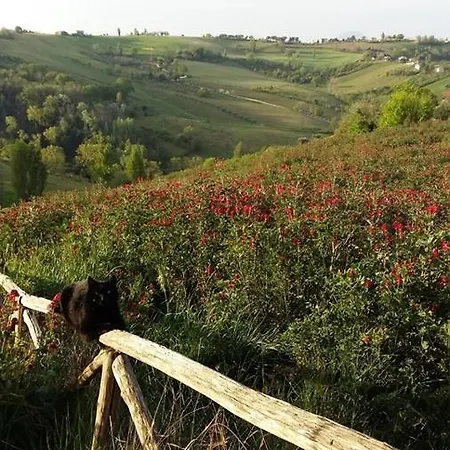 San Francesco Bed & Breakfast *