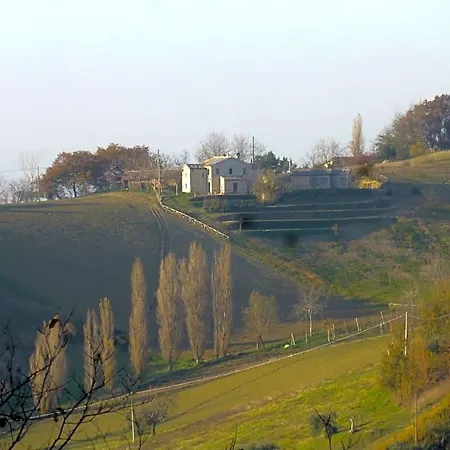 San Francesco