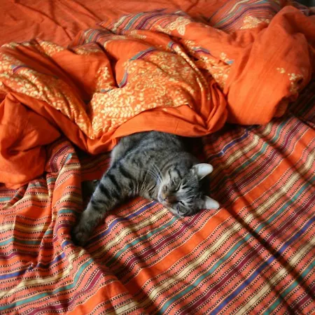 Bed & Breakfast San Francesco